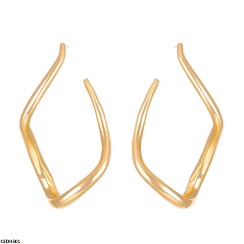 CEDH501 QWN Stainless Steel  Earrings - CEDH