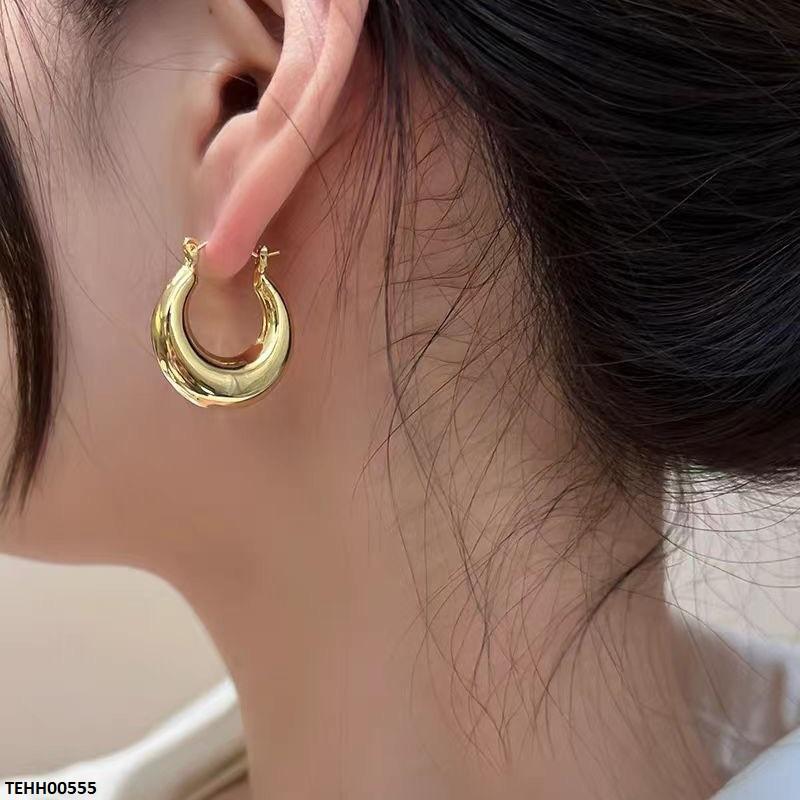 TEHH00555 ZCD Stainless Steel Round Hoops Pair - TEHH